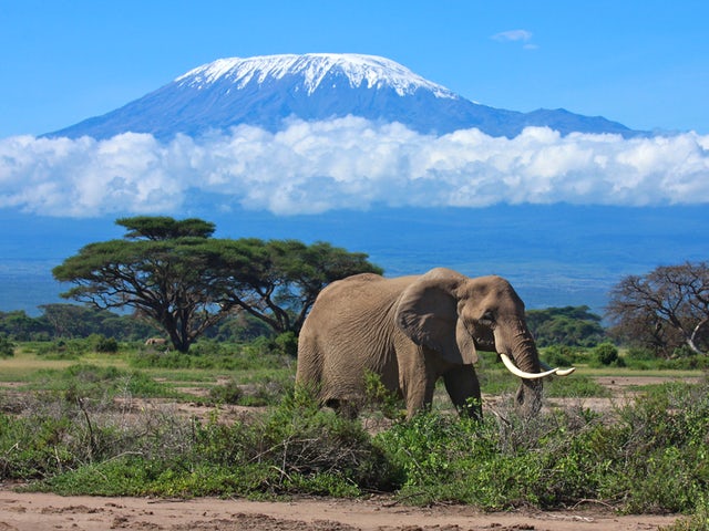 Where is Amboseli National Park