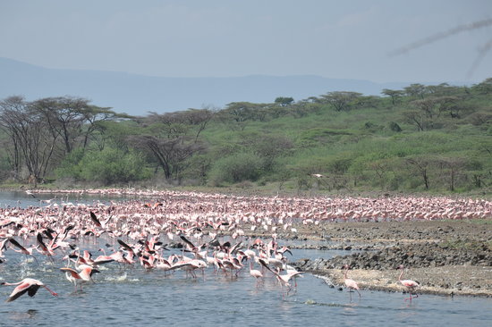 Where is Lake Bogoria
