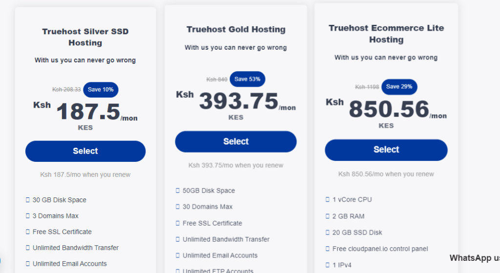 Top 3 Web Hosting Companies in Kenya. Truehost's lowest package goes for just KES 900 annually making it one of the most pocket-friendly hosting providers in Kenya.