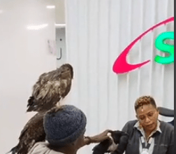 Nairobi’s Birdman Visits Safaricom Headquarters, Reportedly Signs Deal Nairobi's Birdman Visits Safaricom Headquarters, Reportedly Signs Deal. Rodgers Oloo alias Birdman visits Safaricom offices in Nairobi. Picture/Courtesy
