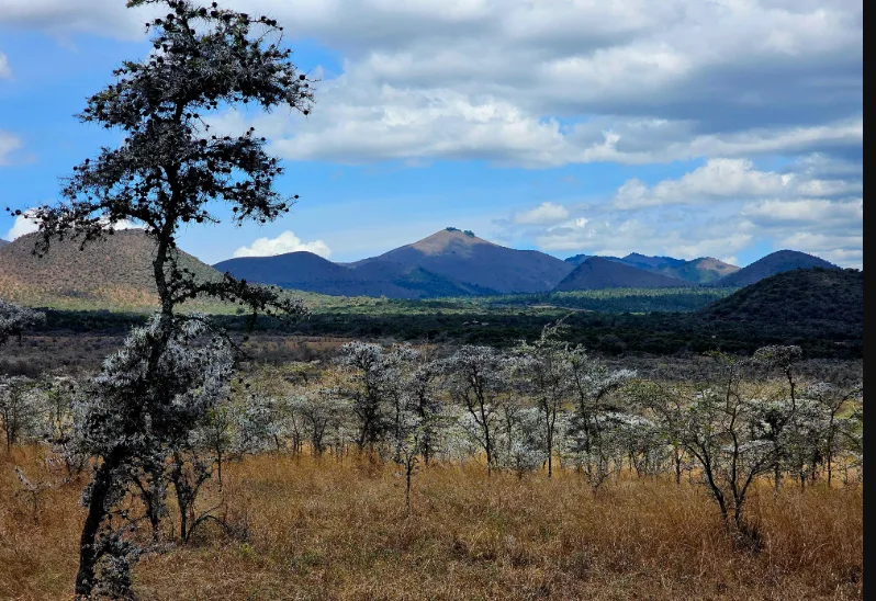 Top 10 Most Underrated Travel Destinations in Kenya. A scenic view of Chyulu Hills. Picture/96 Lost